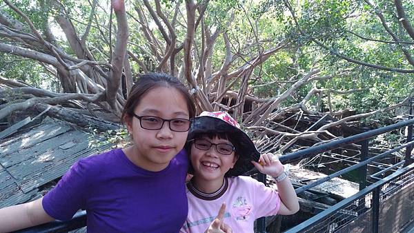 P_20190209_124906.jpg P_20190209_124906.jpg