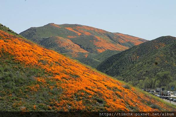 IMG_04200.jpg IMG_04200.jpg