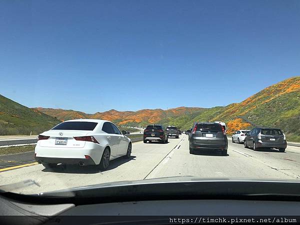 IMG_04300.jpg IMG_04300.jpg