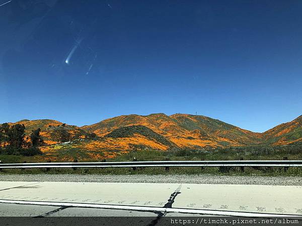 IMG_04320.jpg IMG_04320.jpg