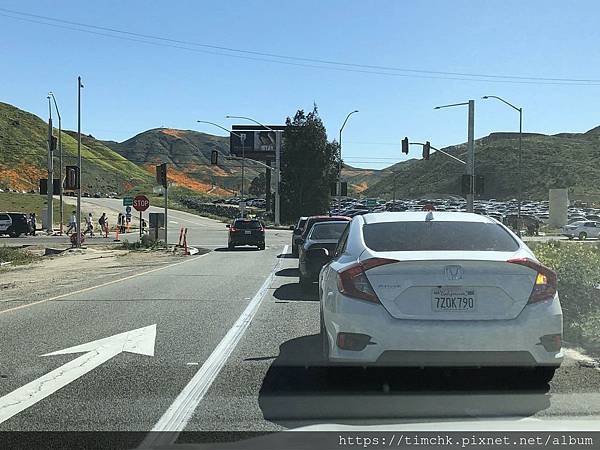 IMG_03730.jpg IMG_03730.jpg