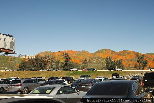 IMG_03760.jpg IMG_03760.jpg