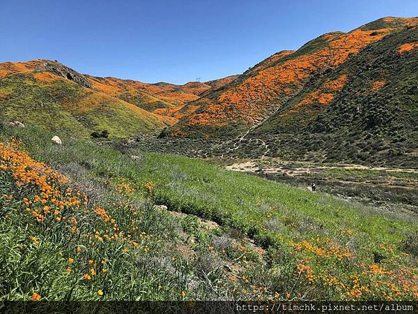 IMG_03880.jpg IMG_03880.jpg