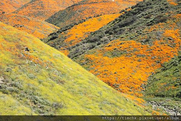 IMG_04090.jpg IMG_04090.jpg