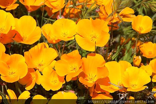 IMG_04110.jpg IMG_04110.jpg