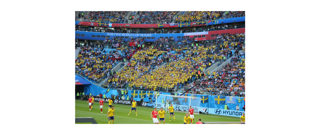 IMG_7955.png IMG_7955.png