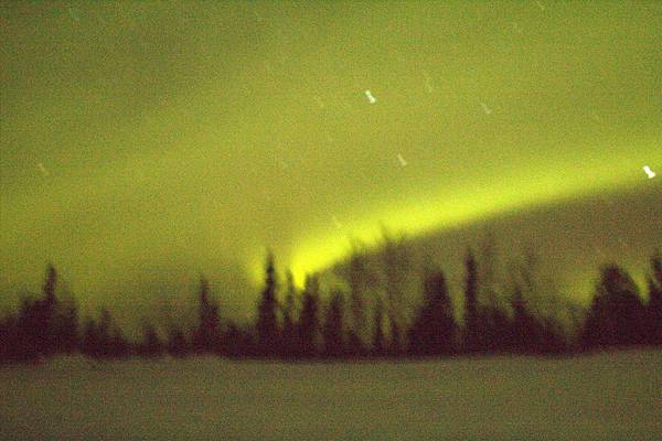 IMG_7650.jpg IMG_7650.jpg