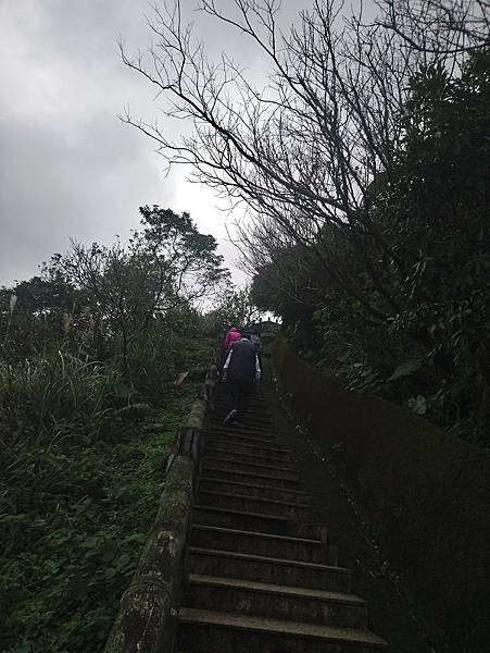 DSC_0730.JPG DSC_0730.JPG