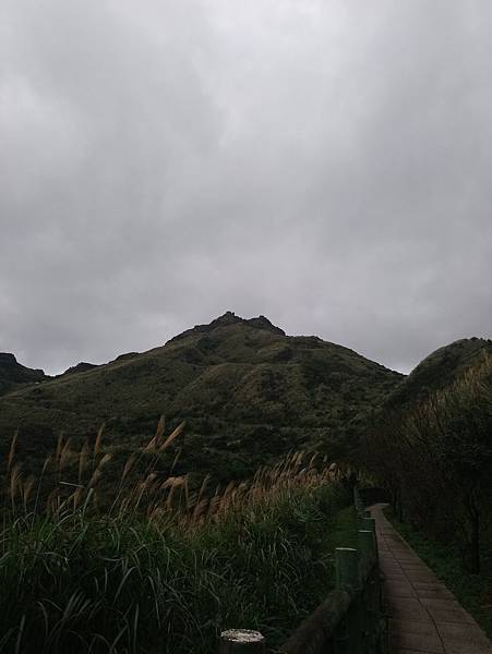 DSC_0731.JPG DSC_0731.JPG