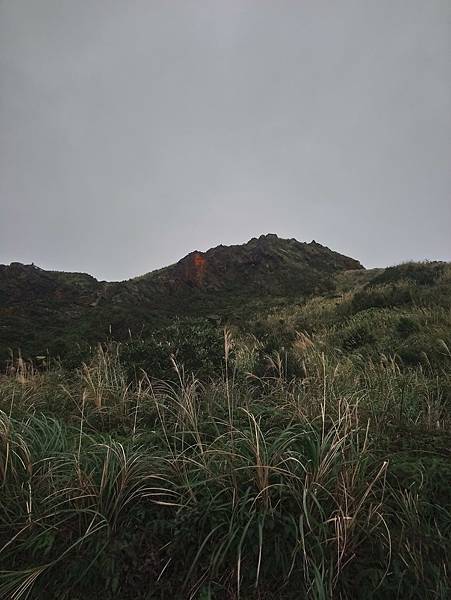 DSC_0736.JPG DSC_0736.JPG