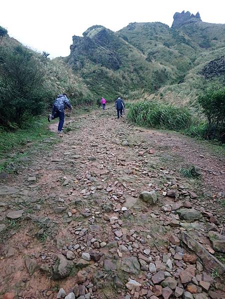 DSC_0741.JPG DSC_0741.JPG