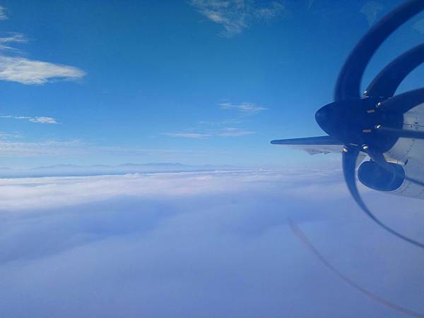 DSC_0730.JPG DSC_0730.JPG