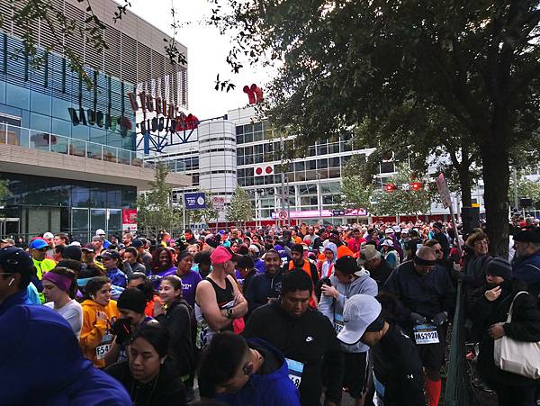 DSC_0113.JPG DSC_0113.JPG