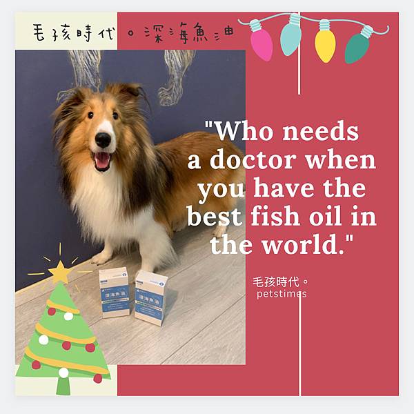 IMG_4904.JPG IMG_4904.JPG