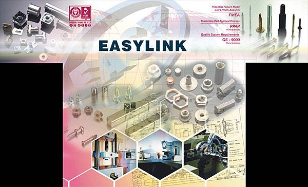 20040607 easylink02.jpg