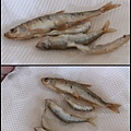 網走湖_釣公魚