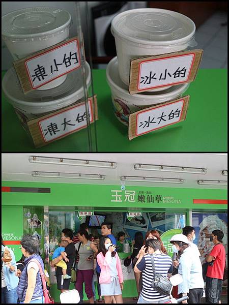 澎湖_玉冠嫩仙草 澎湖_玉冠嫩仙草