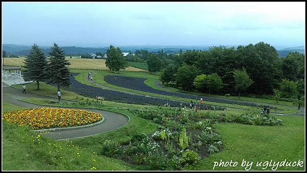 北海道美瑛_北西之丘展望公園