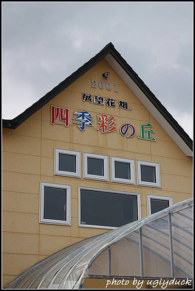 美瑛_四季彩之丘 美瑛_四季彩之丘