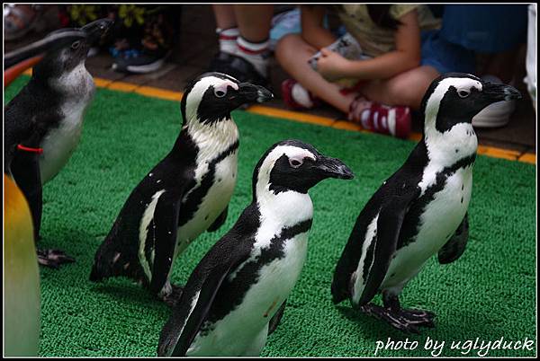 登別_尼克斯海洋公園