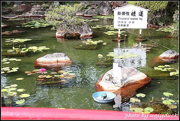 別府_海地獄