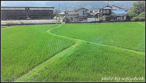 由布院之森