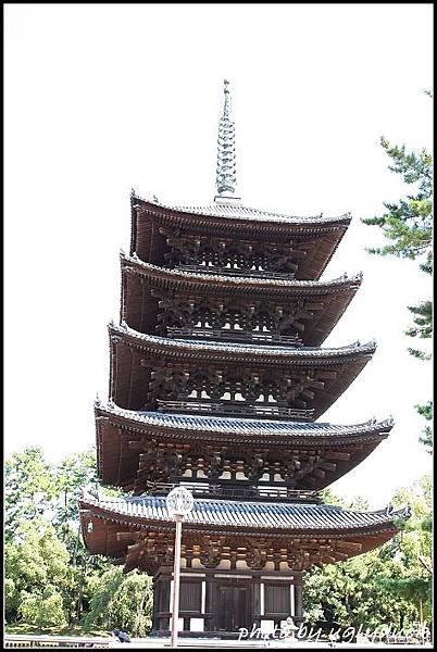 IMG_1337_奈良_興福寺