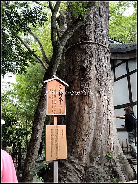 【琦玉 川越】冰川神社