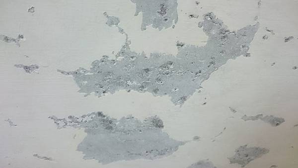 DSC_0728.JPG DSC_0728.JPG