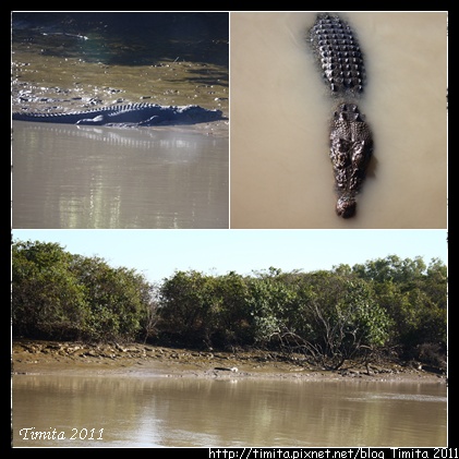 kakadu 1-2.jpg