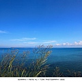 T0011.jpg