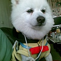20100214(001).jpg