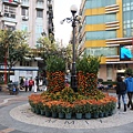 DSC02384.JPG