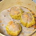 DSC09860_1_1.jpg