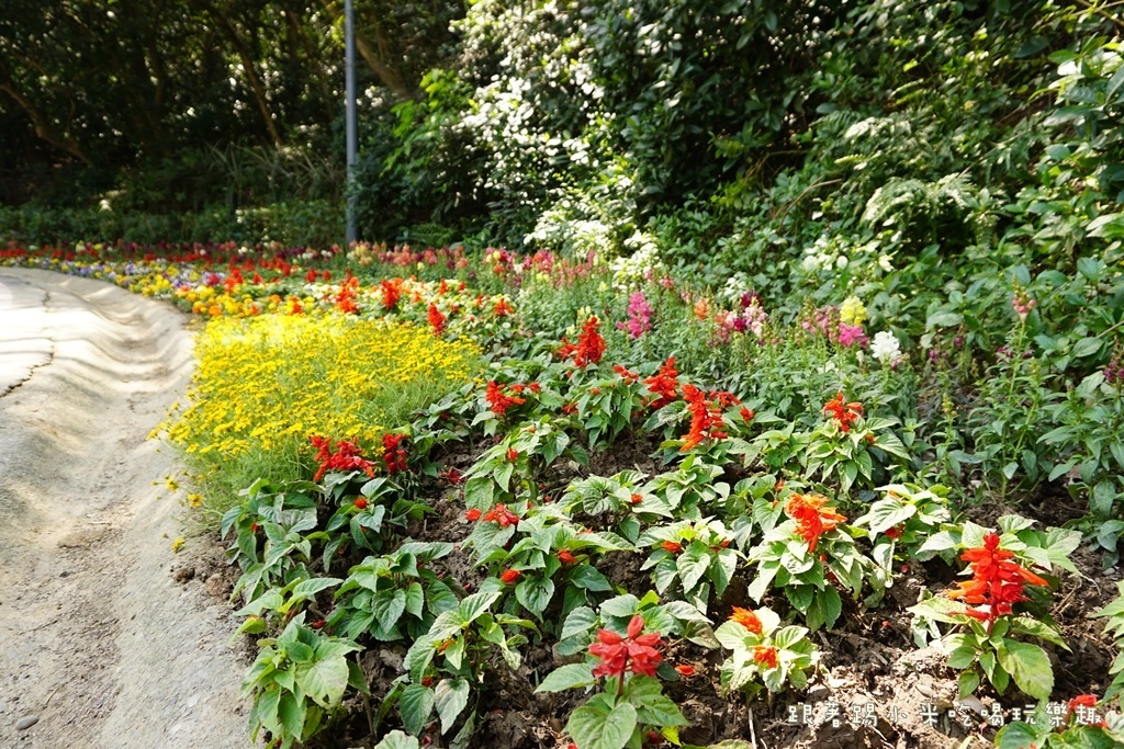 DSC00625.JPG DSC00625.JPG