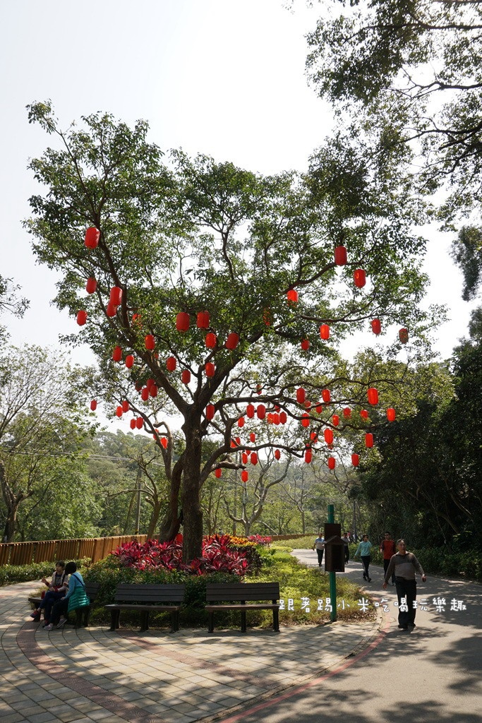 DSC00626.jpg DSC00626.jpg