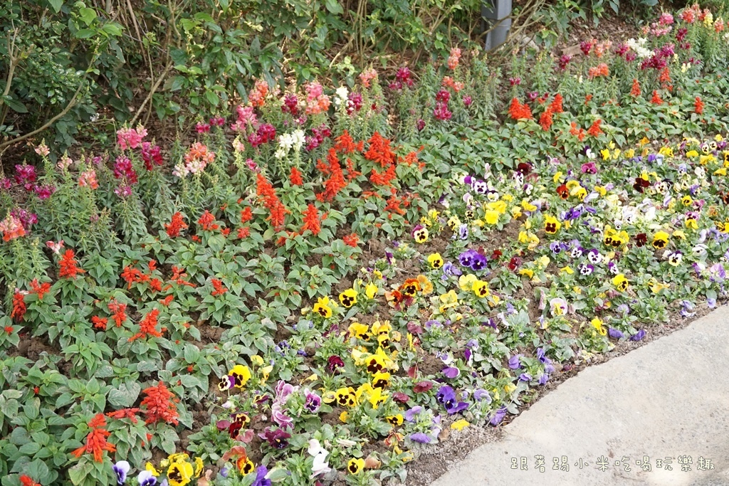 DSC00630.JPG DSC00630.JPG