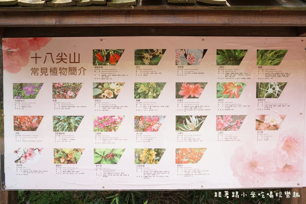 DSC00638.JPG DSC00638.JPG