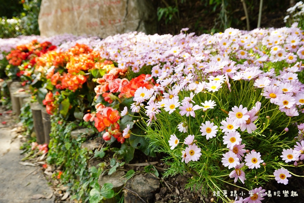 DSC00645.JPG DSC00645.JPG