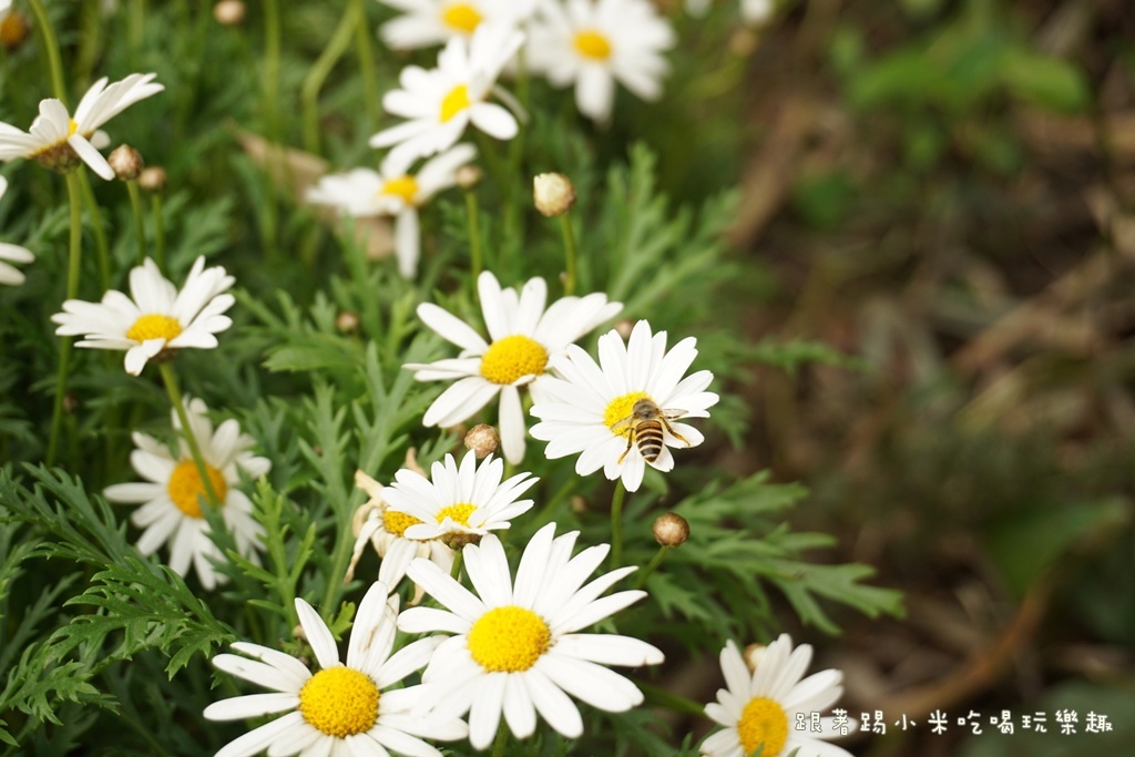 DSC00649.JPG DSC00649.JPG