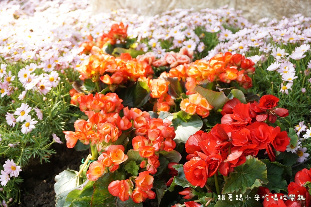 DSC00656.JPG DSC00656.JPG