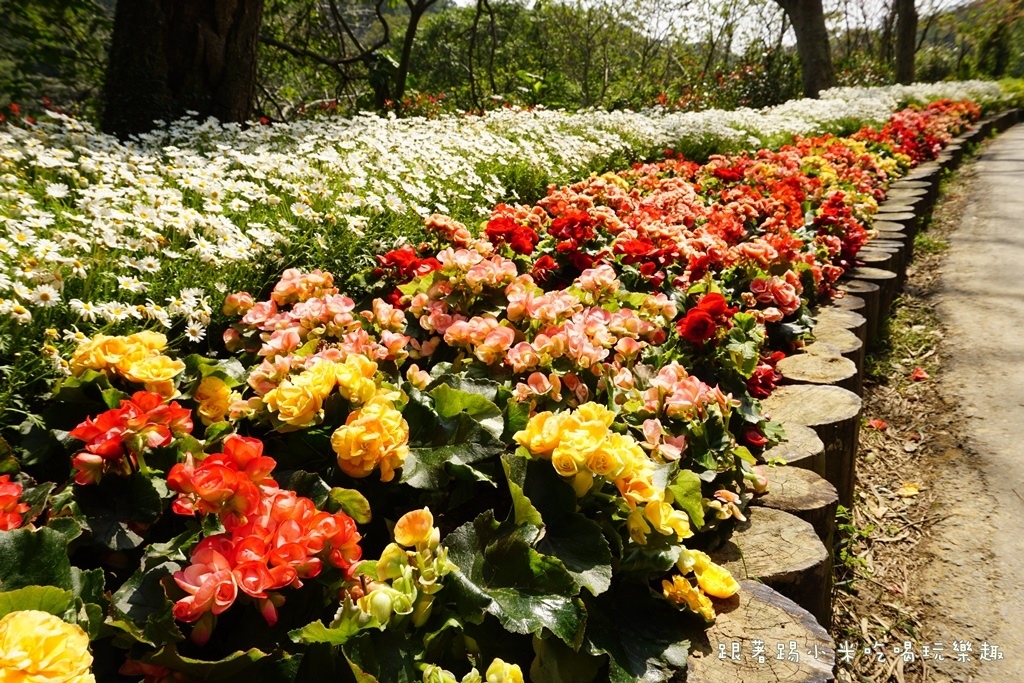 DSC00661.JPG DSC00661.JPG