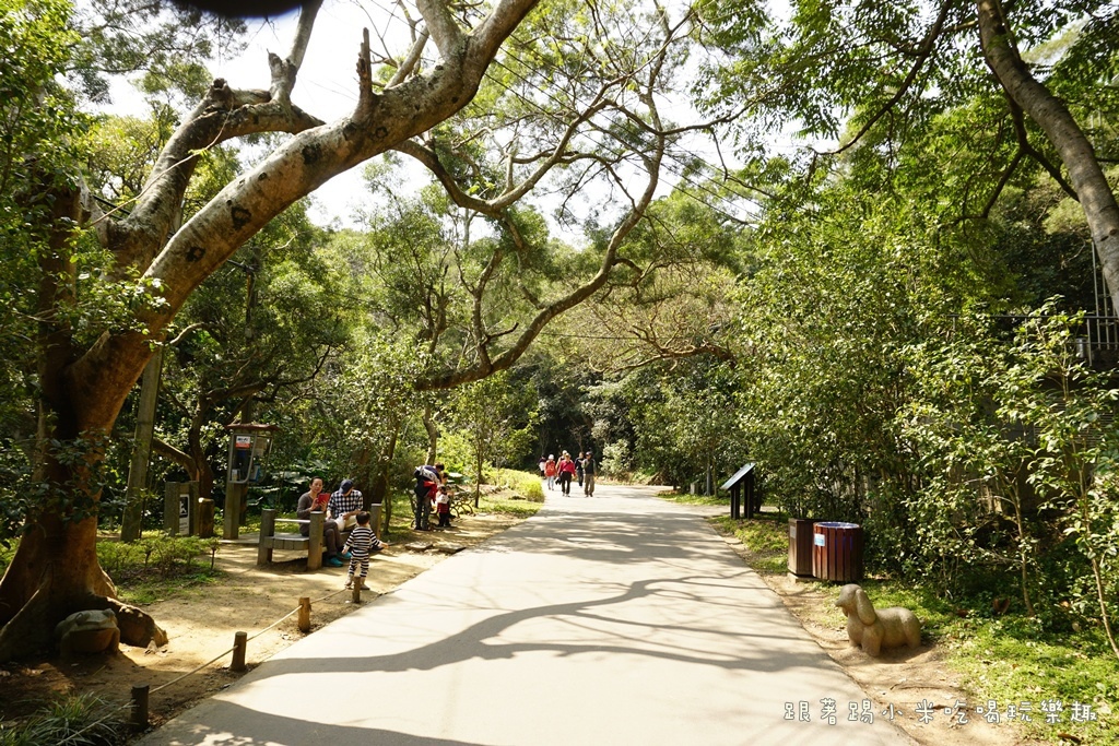 DSC00682.JPG DSC00682.JPG