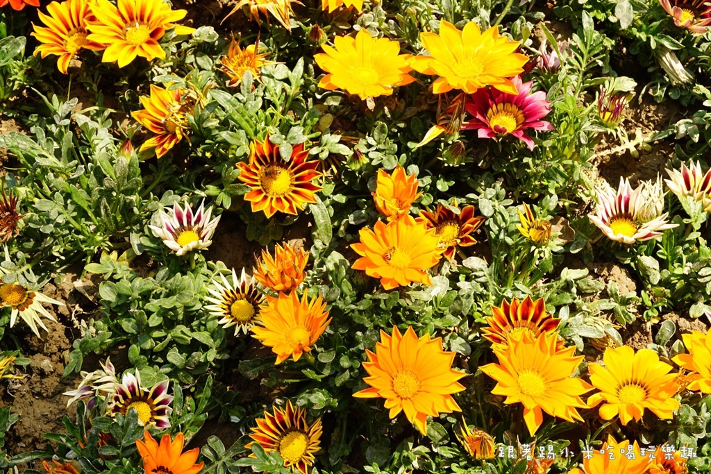 DSC00688.JPG DSC00688.JPG