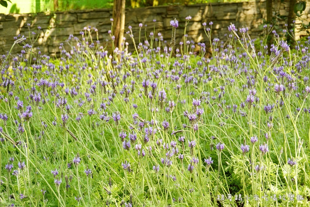 DSC00727.JPG DSC00727.JPG