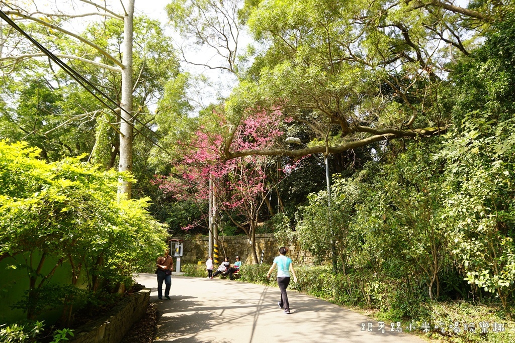 DSC00734.JPG DSC00734.JPG