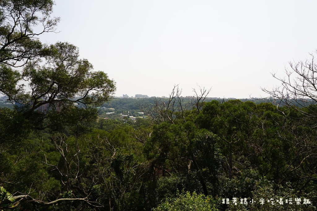 DSC00770.JPG DSC00770.JPG