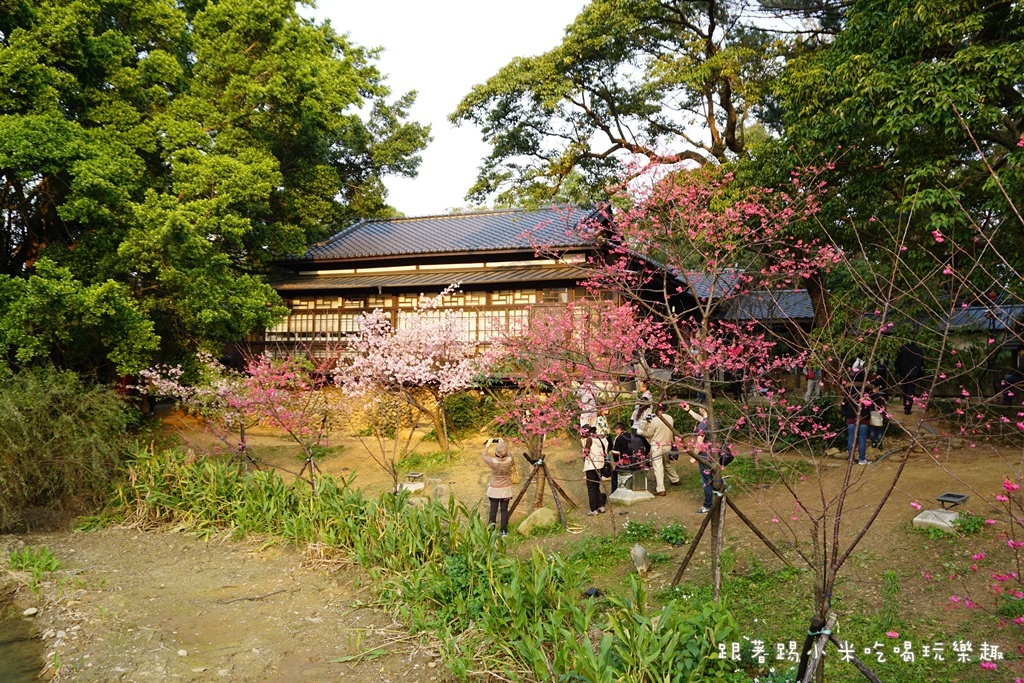 DSC00877.JPG DSC00877.JPG