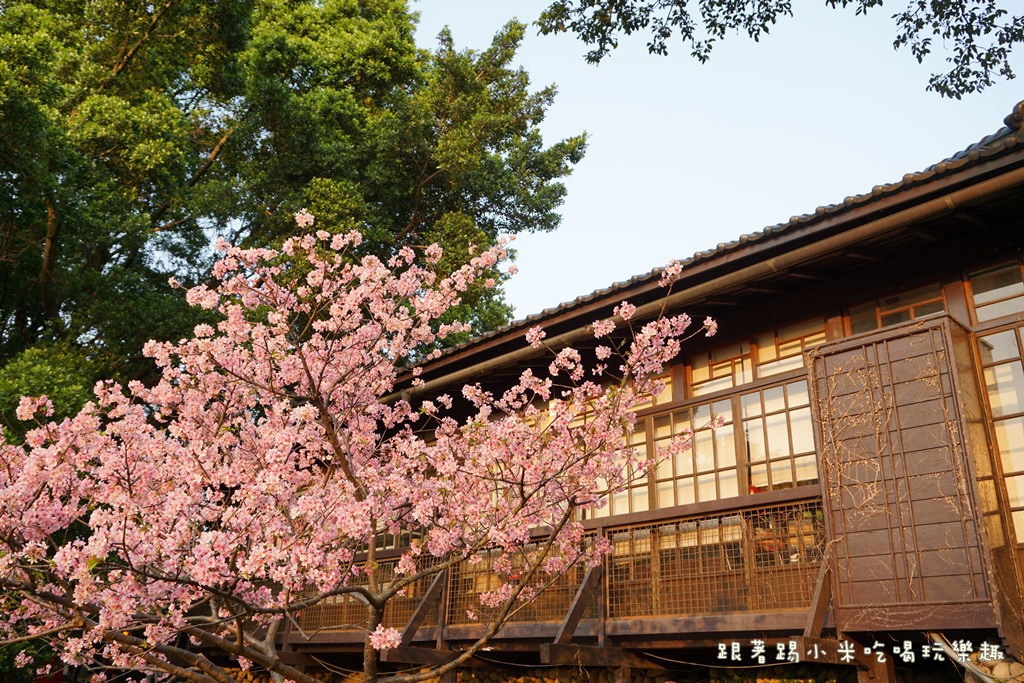 DSC00888.jpg DSC00888.jpg