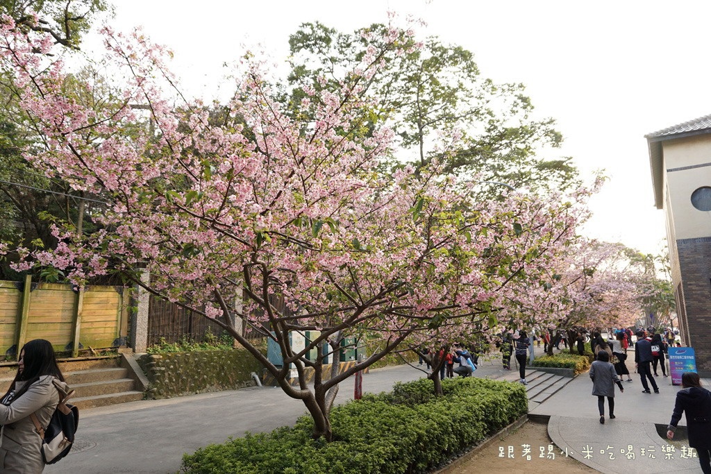 DSC00903.jpg DSC00903.jpg